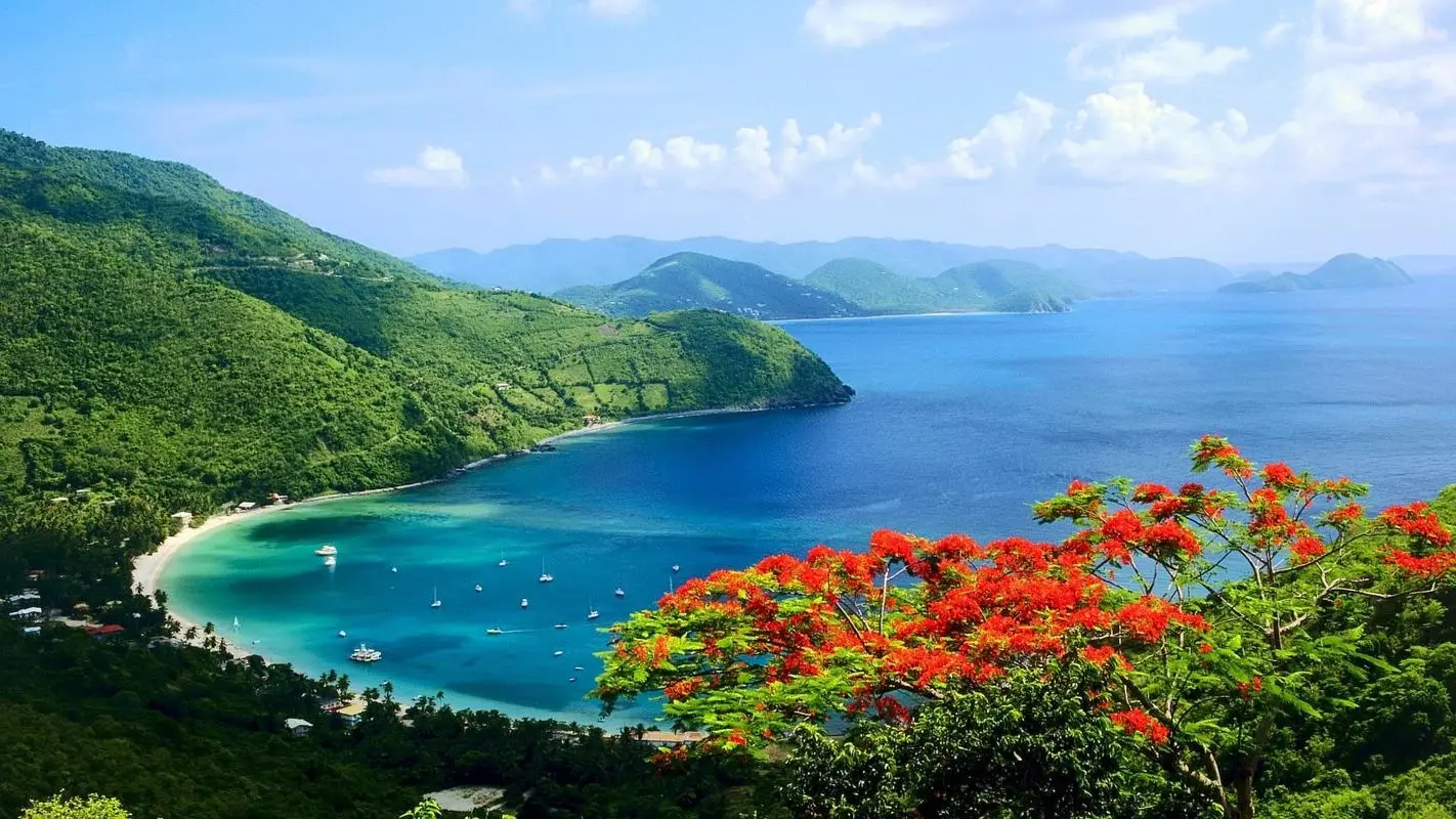 高效高质量高效